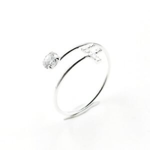 Anillo F